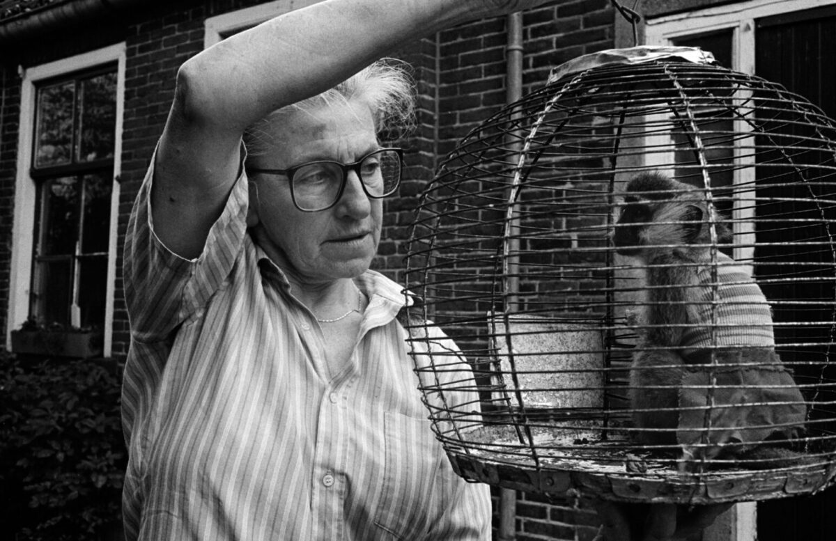 Riga history cage primate