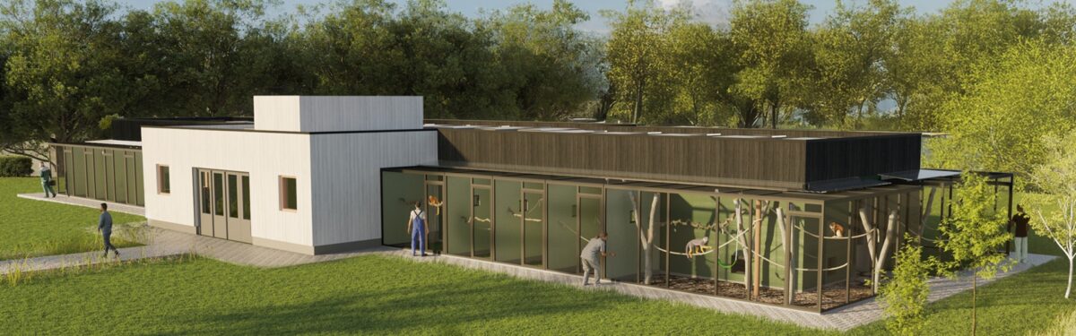 Artist impression of new building