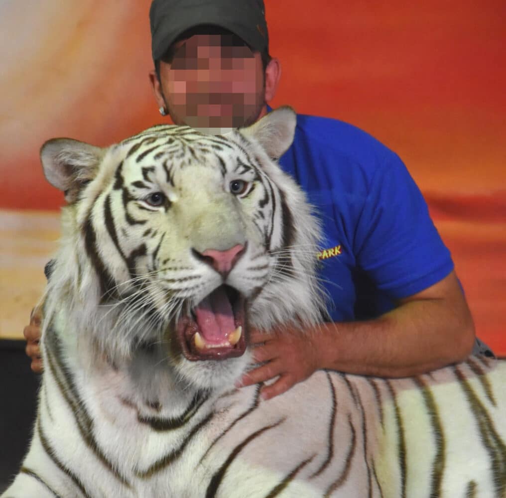 Man holding a tiger.