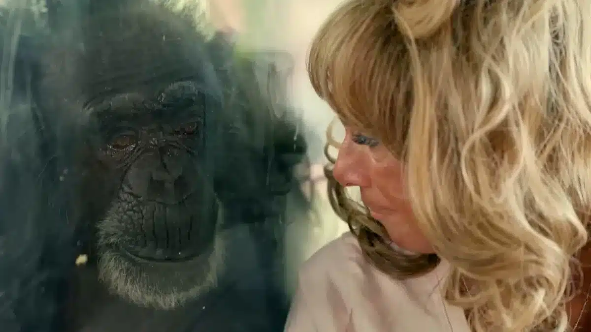 A women and a chimp