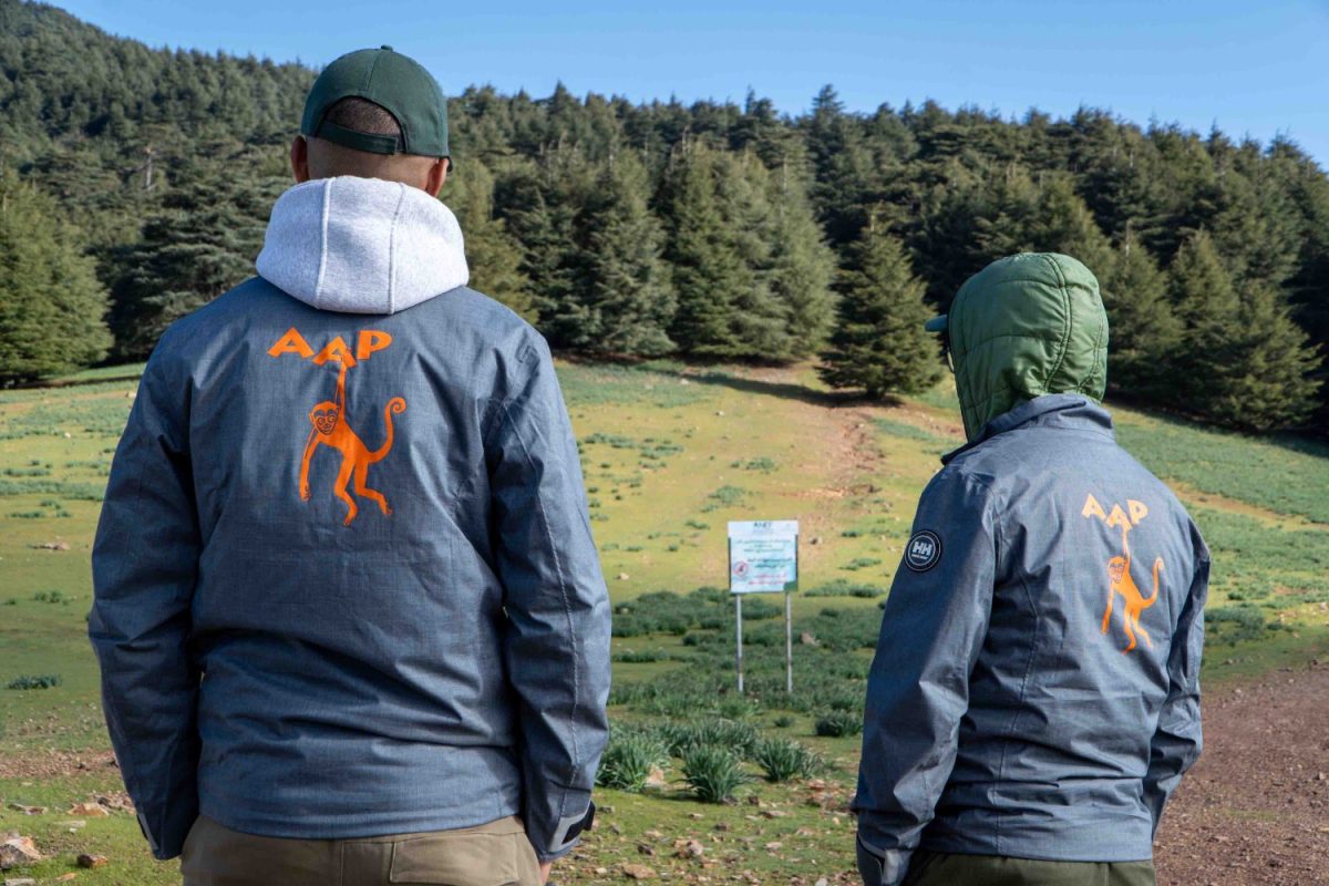 Two people standing with their backs to the camera looking out over a forest.