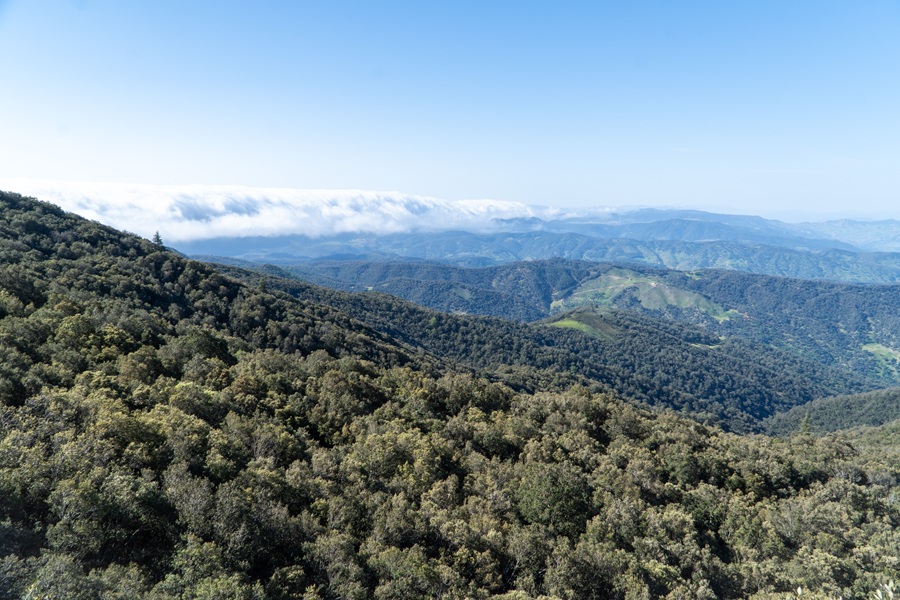 Mountain landscape